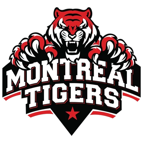 Babu88 के साथ Montreal Tigers की साझेदारी भरोसेमंद बेटिंग और ग्लोबल क्रिकेट के संयोजन को दर्शाती है।