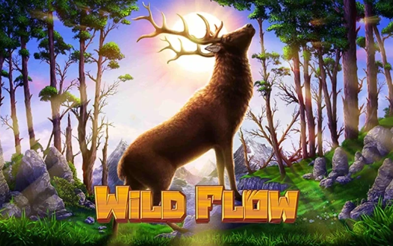Babu88 Wild Flow में प्राकृतिक रोमांच और जीत का आनंद लें।